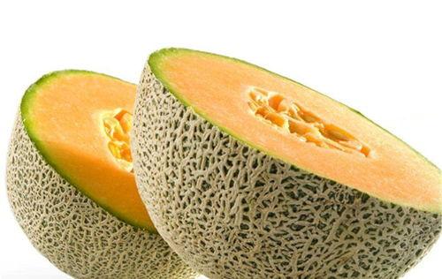 绣眼吃哈密瓜好吗视频教程,营养美味两不误