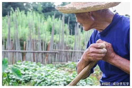 大年三十吃瓜视频,吃瓜群众围观年度大戏