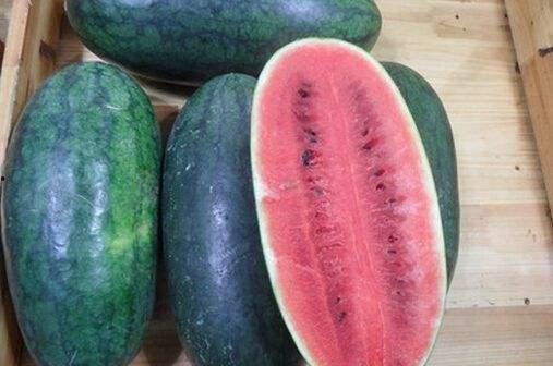 即墨网红吃瓜事件视频最新,真相揭秘,网络舆论的漩涡与反思