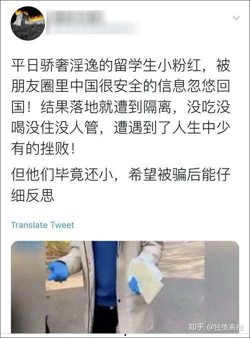崇明吃瓜群众事件始末视频,一场网络舆论的风波与反思