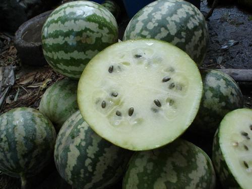 皮条瓜怎么吃最好吃视频