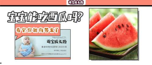 什么瓜合适孩子吃呢视频