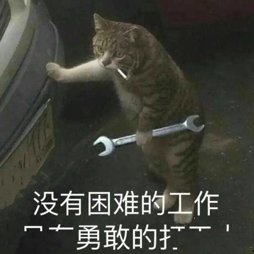 加油吧打工人吃瓜视频在线观看,揭秘吃瓜视频背后的真实故事