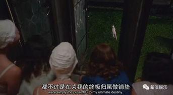 吃瓜比赛女人认输视频,精彩视频回顾