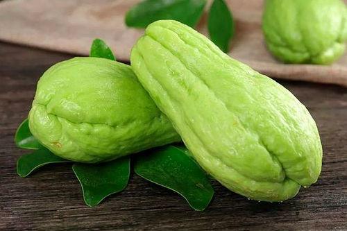 羊奶瓜能做菜吃吗视频,探索美味佳肴新选择