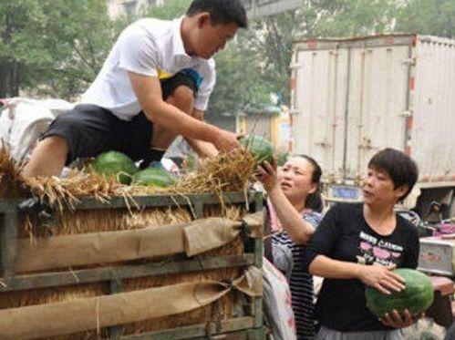 仙居县吃瓜事件视频