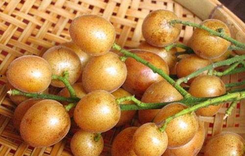 黄皮面瓜吃的视频,视频揭秘家常美味制作过程